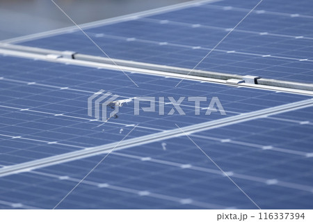太陽光パネルの汚れ 116337394