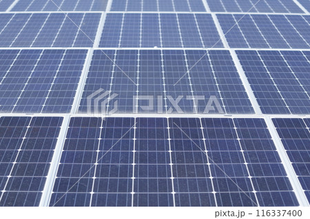 太陽光発電パネルのアップ 116337400