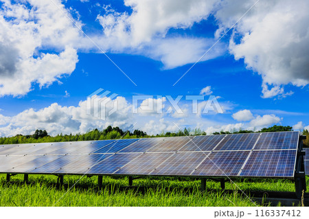 ソーラーパネルと夏の青空と白い雲 116337412