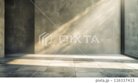 empty room with concrete wall and floor 116337413