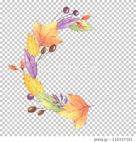 Autumn leaves watercolor wreath. Colorful Yellow, orange, red, purple foliage and berries clipart. Round frame Design element for autumnal decor, thanksgiving day, cards, gift tags, scrapbooking 116337581