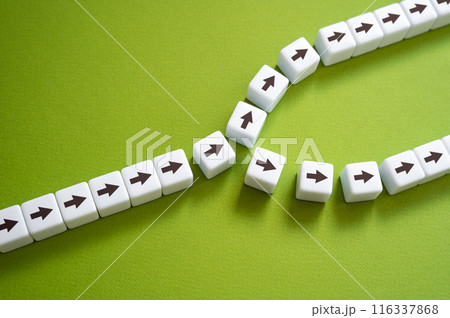 The road branches into two directions. Fork in the road. New perspectives and opportunities. Weigh the choice and choose the path. The concept of choosing a future direction of work. 116337868