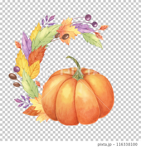 Autumn leaves and pumpkin watercolor wreath. Colorful Yellow, orange, red, purple foliage and squash clipart. Round frame Design element for autumnal decor, thanksgiving day, cards, gift tags, Autumn leaves and pumpkin watercolor wreath. Colorful Yellow, orange, red, purple foliage and squash clipart. Round frame Design element for autumnal decor, thanksgiving day, cards, gift tags, 116338100