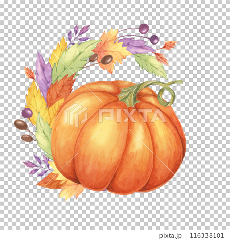 Autumn leaves and pumpkin watercolor wreath. Colorful Yellow, orange, red, purple foliage and squash clipart. Round frame Design element for autumnal decor, thanksgiving day, cards, gift tags, 116338101