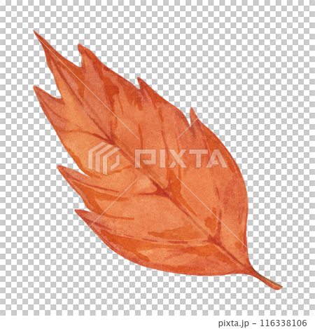 Autumn leaf in orange color. Bright and festive Fall design element. Watercolor clipart for print, cards, Thanksgiving, seasonal celebrations, floral greeting arrangements, farmers market, stickers 116338106