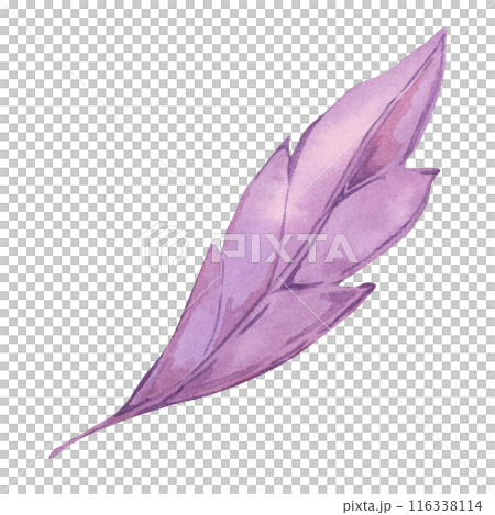Autumn leaf in purple color. Bright and festive Fall design element. Watercolor clipart for print, cards, Thanksgiving, seasonal celebrations, floral greeting arrangements, farmers market, stickers Autumn leaf in purple color. Bright and festive Fall design element. Watercolor clipart for print, cards, Thanksgiving, seasonal celebrations, floral greeting arrangements, farmers market, stickers 116338114