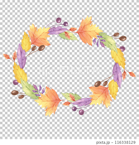 Autumn leaves watercolor wreath. Colorful Yellow, orange, red, purple foliage and berries clipart. Round frame Design element for autumnal decor, thanksgiving day, cards, gift tags, scrapbooking 116338129