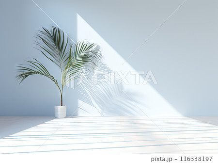 Interior designed in minimalism with palm tree, natural light, and modern style, creating clean and serene space 116338197