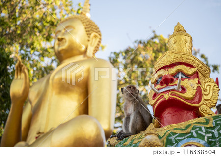 THAILAND PRACHUAP HUA HIN WAT KHAO TAKIAB 116338304
