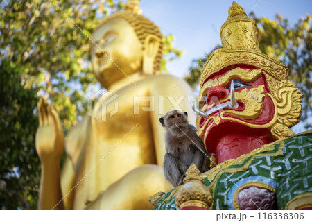 THAILAND PRACHUAP HUA HIN WAT KHAO TAKIAB 116338306