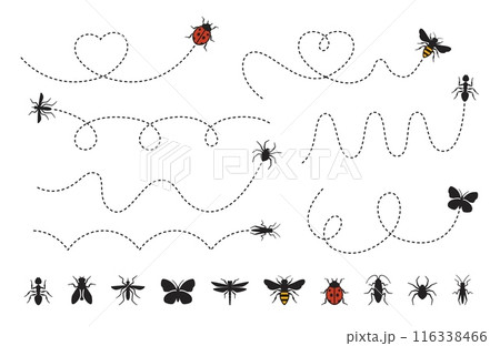 Dashed line insect route. Bee, mosquito and butterfly flight paths. Ladybug, tiny ant, spider and cockroach trails. Dragonfly, grasshopper and fly icons. Insects pathway bug vector set Dashed line insect route. Bee, mosquito and butterfly flight paths. Ladybug, tiny ant, spider and cockroach trails. Dragonfly, grasshopper and fly icons. Insects pathway bug vector set 116338466