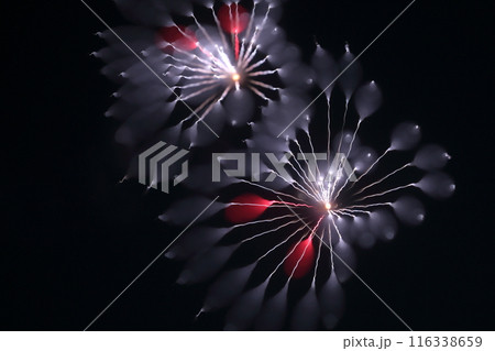 夜空を照らす花火 夜空を照らす花火 116338659