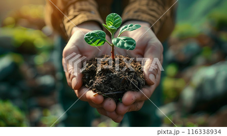 A pair of hands hold a small green plant growing in rich soil, symbolizing nurturing and growth 116338934