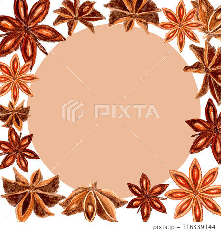 Star anise realistic watercolor frame on a white background. Five brown star-shaped spices with detailed texture and shades. Perfect for culinary, botanical projects, cards, posters, spice containers Star anise realistic watercolor frame on a white background. Five brown star-shaped spices with detailed texture and shades. Perfect for culinary, botanical projects, cards, posters, spice containers 116339144