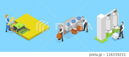 3D Isometric Flat Vector Illustration of Wheat Manufacture Process, Manufacturing Stages 3D Isometric Flat Vector Illustration of Wheat Manufacture Process, Manufacturing Stages 116339231