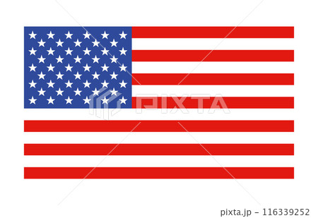 United States Flag Vector Closeup Illustration. 116339252