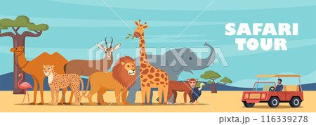 Safari tour of african wildlife. Design for tourism, travel, expedition and adventure. Banner, poster template. Horizontal African landscape with tropical animals, trees in warm colors. Vector. Safari tour of african wildlife. Design for tourism, travel, expedition and adventure. Banner, poster template. Horizontal African landscape with tropical animals, trees in warm colors. Vector. 116339278