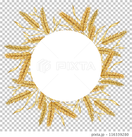 Wheat ears round frame. Barley stalks watercolor wreath for bread, flour packaging, bakery branding. Rustic clipart for barn wedding invitations, save the date, Thanksgiving, Shavuot, labels and tags Wheat ears round frame. Barley stalks watercolor wreath for bread, flour packaging, bakery branding. Rustic clipart for barn wedding invitations, save the date, Thanksgiving, Shavuot, labels and tags 116339280