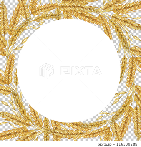 Wheat ears round frame. Barley stalks watercolor wreath for bread, flour packaging, bakery branding. Rustic clipart for barn wedding invitations, autumn harvest festival, Thanksgiving, Shavuot 116339289