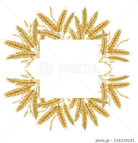 Wheat ears square frame. Barley stalks watercolor design for bread packaging, bakery branding. Rustic clipart for barn wedding invitations, save the date, Thanksgiving, Shavuot, labels and gift tags 116339291