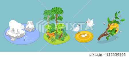 3D Isometric Flat Vector Illustration of Wild Animals Habitat Types, Geographical Wildlife Biodiversity 3D Isometric Flat Vector Illustration of Wild Animals Habitat Types, Geographical Wildlife Biodiversity 116339305