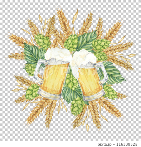 Frothy beer mugs with light lager and barley ears, wheat stalks and green hops around. Cheers or Oktoberfest composition in watercolor. Clipart for festive designs, card, brewery, flyer, coaster 116339328