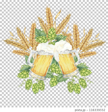 Cheers with beer mugs with light lager beer surrounded by barley ears, wheat stalks and green hops. Oktoberfest composition in watercolor. Clipart for festive designs, card, brewery, flyer, coaster Cheers with beer mugs with light lager beer surrounded by barley ears, wheat stalks and green hops. Oktoberfest composition in watercolor. Clipart for festive designs, card, brewery, flyer, coaster 116339332