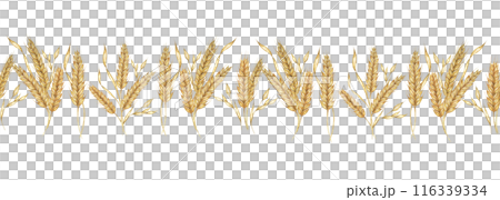 Wheat stalks seamless border, barley ears ribbon. Watercolor illustration for harvest celebration, rustic designs, beer, bread, farming themes. Clipart for textiles, packaging, backgrounds, banner 116339334