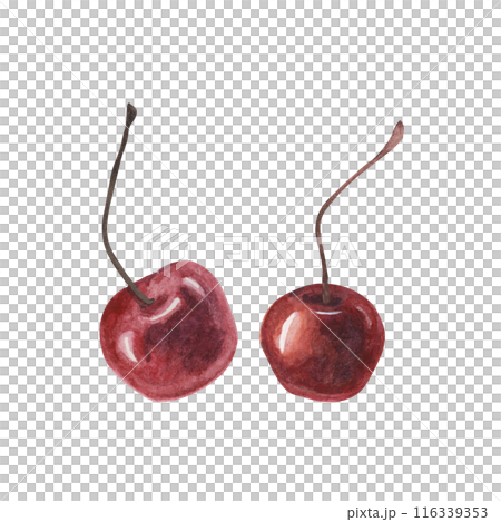 Red maraschino cherries. Watercolor red berries topping illustration for desserts, pastry, beverages, cocktails. Realistic hand drawn clipart for ice cream cafe, stand, menu, culinary design Red maraschino cherries. Watercolor red berries topping illustration for desserts, pastry, beverages, cocktails. Realistic hand drawn clipart for ice cream cafe, stand, menu, culinary design 116339353