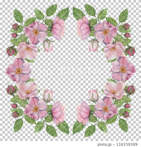 Rosehip round frame template. Pink wild rose flowers, buds and leaves. Watercolor romantic design for birthday, anniversary, congratulations and mothers day cards, wedding invitation, label, tags 116339389