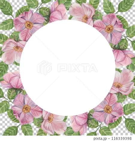 Pink Rosehip round frame template, wild rose flowers and leaves. Watercolor elegant design for birthday, anniversary, thank you, congratulations and mothers day cards, wedding invitation Pink Rosehip round frame template, wild rose flowers and leaves. Watercolor elegant design for birthday, anniversary, thank you, congratulations and mothers day cards, wedding invitation 116339398