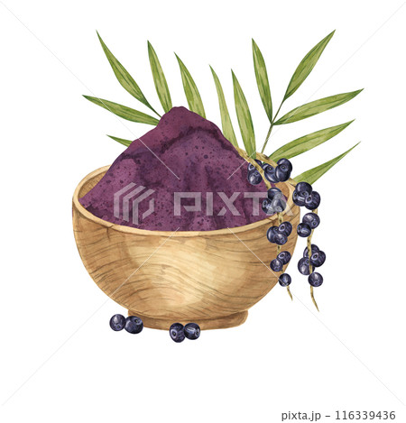 Acai berries superfood, powder in a wooden bowl and palm leaves. Exotic tropical berries clipart. Watercolor illustration for printing, packaging, cosmetics, granola, smoothie, supplements, labels Acai berries superfood, powder in a wooden bowl and palm leaves. Exotic tropical berries clipart. Watercolor illustration for printing, packaging, cosmetics, granola, smoothie, supplements, labels 116339436