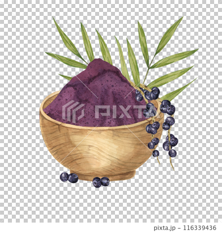 Acai berries superfood, powder in a wooden bowl and palm leaves. Exotic tropical berries clipart. Watercolor illustration for printing, packaging, cosmetics, granola, smoothie, supplements, labels Acai berries superfood, powder in a wooden bowl and palm leaves. Exotic tropical berries clipart. Watercolor illustration for printing, packaging, cosmetics, granola, smoothie, supplements, labels 116339436