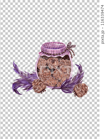 Jam jar. Cartoon style. Coniferous delicacy. Pine cones. Contemporary watercolor illustration, great design for any purpose Jam jar. Cartoon style. Coniferous delicacy. Pine cones. Contemporary watercolor illustration, great design for any purpose 116339474