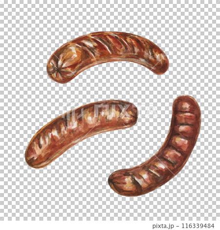 Three grilled sausages in watercolor. Traditional German, Austrian food and culinary design. Bratwurst for Oktoberfest theme, clipart for flyers, posters, menu, brewery, snack stand, cultural events 116339484