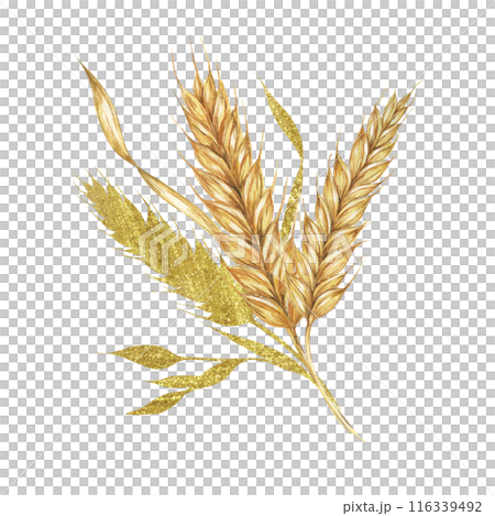Wheat ears bouquet. Cereals and grass watercolor composition with gold elements. Cottagecore clipart for rustic barn wedding invitations, save the date cards, bakery design, labels and gift tags 116339492