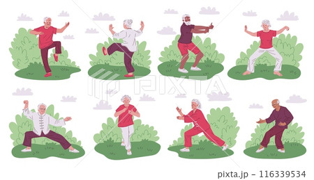 Elderly Tai Chi practice in park vector set 116339534