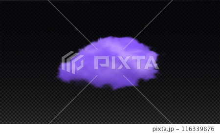 Magic realistic purple fluffy cloud. 116339876