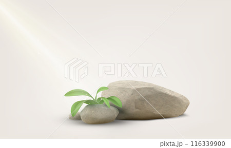 3D stone podium with plant vector, granite stack stand for product presentation, marble beige rock boulder with leaves 3D stone podium with plant vector, granite stack stand for product presentation, marble beige rock boulder with leaves 116339900