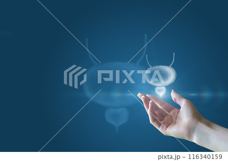 Hand with bladder and prostate . 116340159