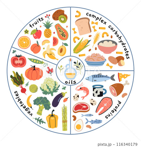 Healthy plate concept. Infographics with the required proportions of diet. Vegetables, fruits, proteins, complex carbs and oils. Modern vector illustration isolated on white, hand drawn, flat design. 116340179