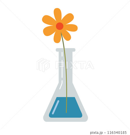 Laboratory test tube, flask with a flower. Transparent glassware with chemical reagents. Experiment equipment for chemistry lessons. Vector illustration isolated on white, flat design Laboratory test tube, flask with a flower. Transparent glassware with chemical reagents. Experiment equipment for chemistry lessons. Vector illustration isolated on white, flat design 116340185