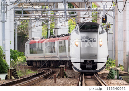 【横須賀線】高架下区間を走行する特急列車 116340961