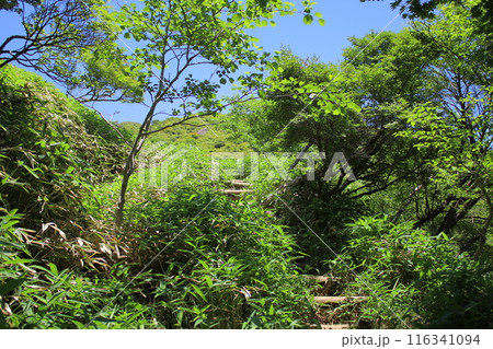 霧降高原とその周辺の風景 霧降高原とその周辺の風景 116341094