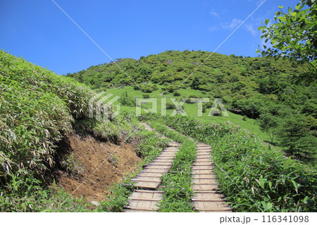 霧降高原とその周辺の風景 116341098