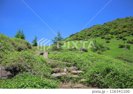 霧降高原とその周辺の風景 116341100