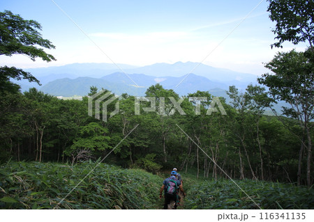 霧降高原とその周辺の風景 116341135