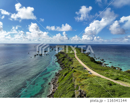 沖縄県宮古島の絶景ドライブスポットである東平安名崎 116341144
