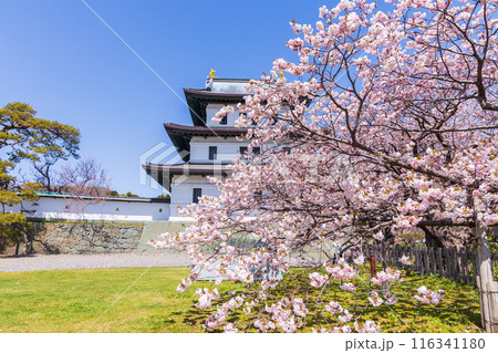 日本さくら名所100選　北海道　松前公園 116341180