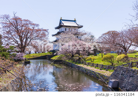 日本さくら名所100選 北海道 松前公園 日本さくら名所100選 北海道 松前公園 116341184
